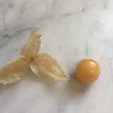 Pineapple Ground Cherry Seeds – Heirloom Husk Cherry, Sweet Tropical Flavor