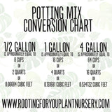 Amaryllis Premium Potting Mix