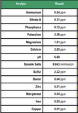 Table of analytical results for various elements including Ammonium, Nitrate-N, Phosphorus, etc.