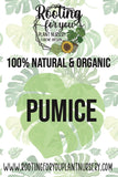 Advertisement for 100% natural and organic pumice from Rooting for You Plant Nursery with leaf patterns.