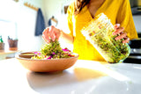 Person adding sprouts from The Sprouter into a bowl on a kitchen counter