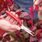 Person using ARS Fruit Harvest Shear Stainless Steel SE-45 on a plant with a blurred background
