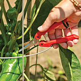 Person using ARS Fruit Harvest Shear Stainless Steel SE-45 on a plant with green peppers.