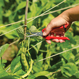 Hand using ARS Fruit Harvest Shear Stainless Steel SE-45 to cut green beans from a plant
