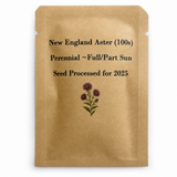100 New England Aster Seeds (Symphyotrichum novae-angliae), Native Fall Pollinator