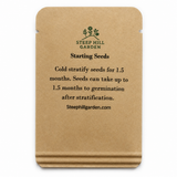 100 New England Aster Seeds (Symphyotrichum novae-angliae), Native Fall Pollinator