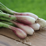 Bunch of shallots on a wooden surface with a blurred green background