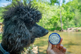 Dog looking at a blue and white disc with text held by a person in a park setting.