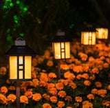Solar-powered garden lights illuminating a bed of orange flowers at night.
