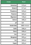 Table of analytical results for various elements including Ammonium, Nitrate-N, Phosphorus, etc.