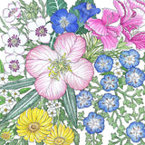 Southwest Native Wildflower Mix (1/4 lb) including pink, blue, and yellow ones.