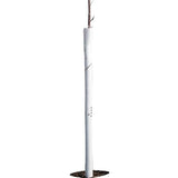 Spiral Tree Guards - 36" (Pack of 5) around a young tree on a white background