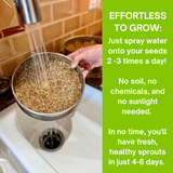 A hand holds a metal bowl filled with seeds under running water in a kitchen sink, with a bright green text panel on the right that reads 'EFFORTLESS TO GROW: Just spray water onto your seeds 2-3 times a day! No soil, no chemicals, and no sunlight needed. In no time, you'll have fresh, healthy sprouts in just 4-6 days!'.