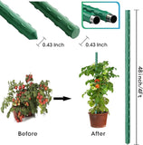 Garden trellis with plants before and after using the trellis, showing growth and increased space for climbing plants.
