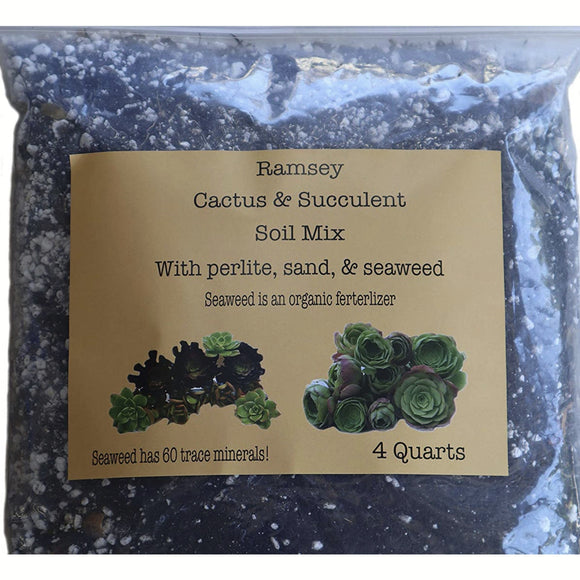 Bag of Ramsey Cactus & Succulent Soil Mix with a label on a white background