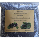 Bag of Ramsey Cactus & Succulent Soil Mix with a label on a white background