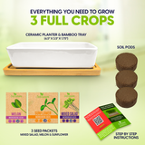Gardening kit with ceramic planter, bamboo tray, soil pods, seed packets, and instructions on a light green background.