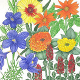 Butterfly Garden Wildflower Mix (pack)