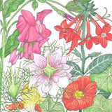 Fragrant Garden Wildflower Mix (pack)