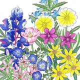 California Low-Growing Native Wildflower Mix (pack)