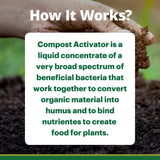 Hand holding compost with text about Compost Activator on a natural background