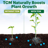 Comparison of plant growth with and without TCM (Traditional Chinese Medicine) on a blue and white background.