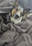 Dog peeking out from under The Nest Throw