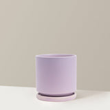 Purple ceramic planter on a neutral background