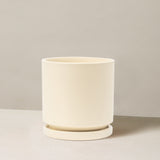 Beige ceramic planter on a neutral background