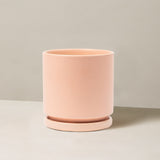 Pink ceramic planter on a neutral background