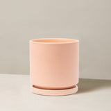 Pink ceramic planter on a neutral background