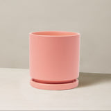 Pink ceramic planter with saucer on a neutral background