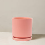 Pink ceramic planter with saucer on a neutral background