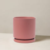 Pink ceramic planter on a beige background