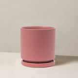 Pink ceramic planter on a beige background