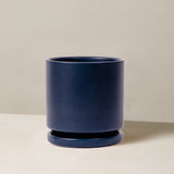 Navy blue ceramic planter on a beige surface with a neutral background