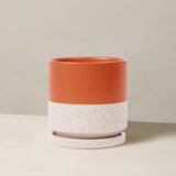 Ceramic planter with two-tone design on a neutral background