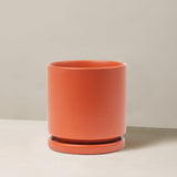 Orange ceramic planter on a beige background
