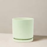 Isabella Planter