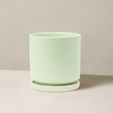 Light green plant pot on a beige background