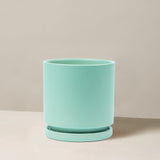 Turquoise ceramic planter on a neutral background