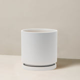 White ceramic planter on a beige background
