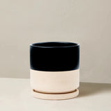Two-toned ceramic planter with black top and beige bottom on a neutral background