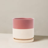 Two-toned pink and white ceramic planter on a neutral background