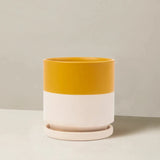 Two-toned yellow and white planter on a neutral background