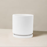 White ceramic planter on a beige background