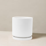 White ceramic planter on a beige background