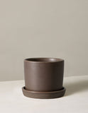 Brown ceramic planter with saucer on a beige background