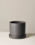 Black cylindrical planter on a beige background