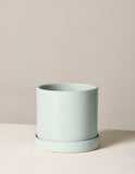 Light blue ceramic planter on a beige background